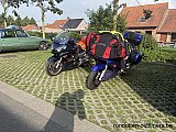 Zandlemig Vlaanderen